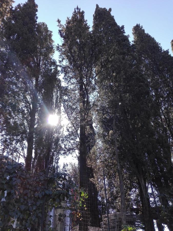 קסטלנואובו ברארדנגה Country House Martina מראה חיצוני תמונה